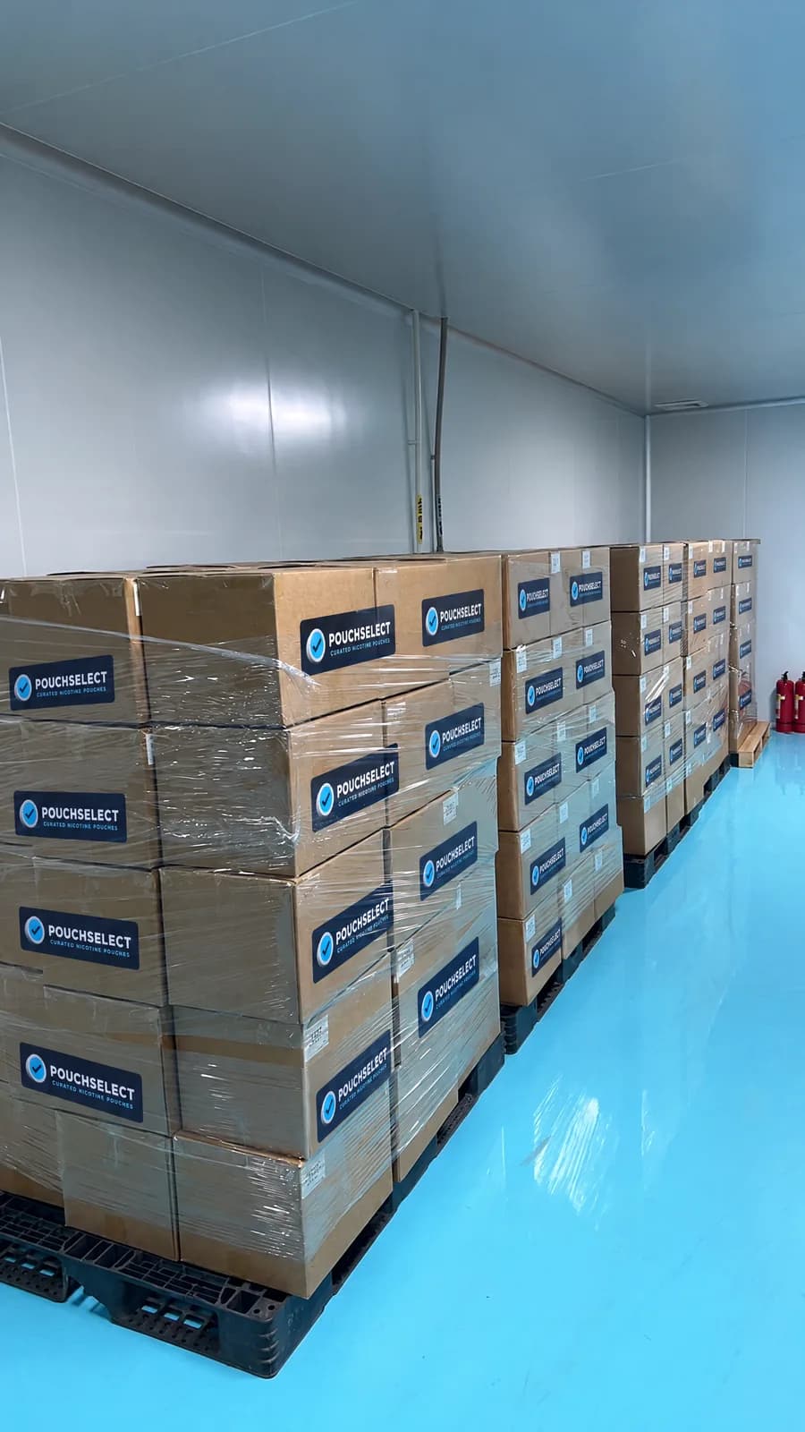 Storage room with stacked cartons on pallets
