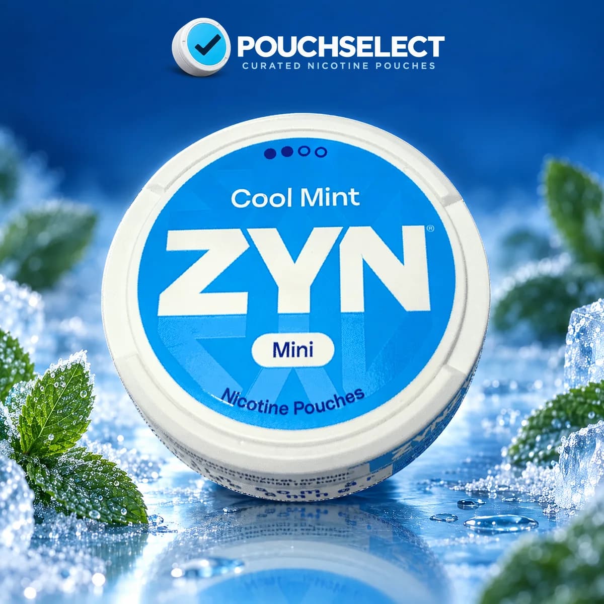 ZYN Cool Mint Mini can